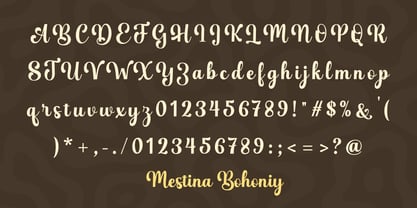 Mestina Bohoniy Font Poster 10