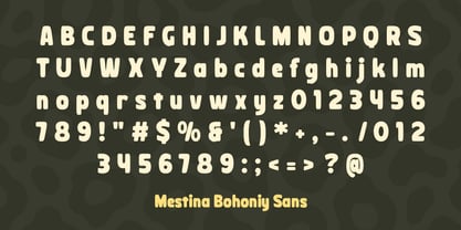 Mestina Bohoniy Font Poster 12