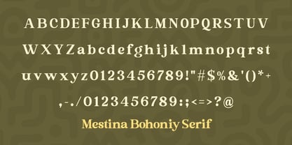 Mestina Bohoniy Font Poster 11