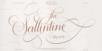 Sallintine Calligraphy Font Poster 1