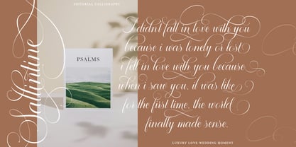 Sallintine Calligraphy Font Poster 4