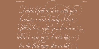 Sallintine Calligraphy Font Poster 2