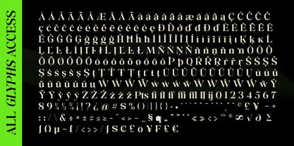 Calitra Font Poster 12