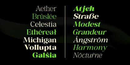 Calitra Font Poster 5