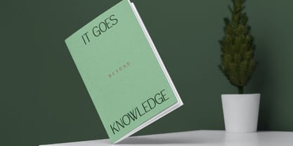 Nimete Font Poster 6