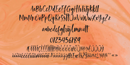 Holine Font Poster 10