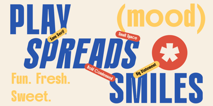 Chrones Font Poster 5