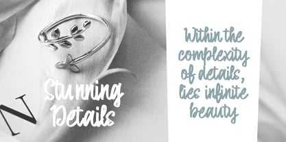 Alicia Grace Font Poster 6