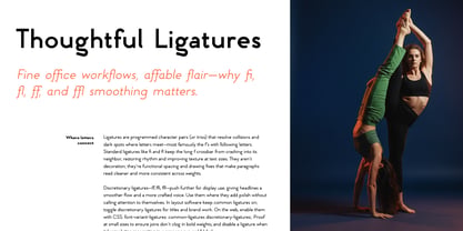 Qasel Sans Font Poster 6