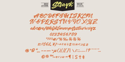Splurge Carmage Font Poster 5