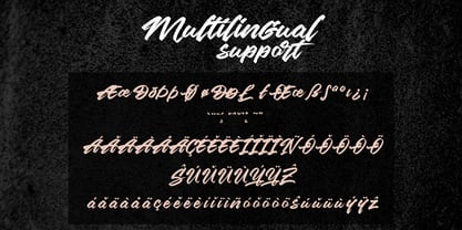Splurge Carmage Font Poster 11