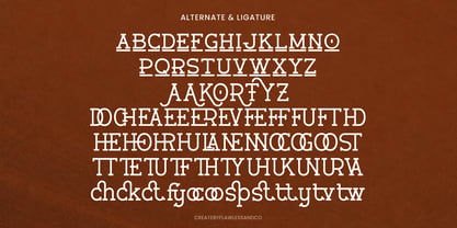 Verhole Font Poster 9