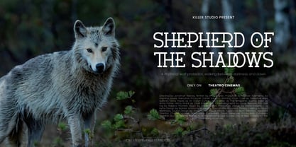 Verhole Font Poster 3
