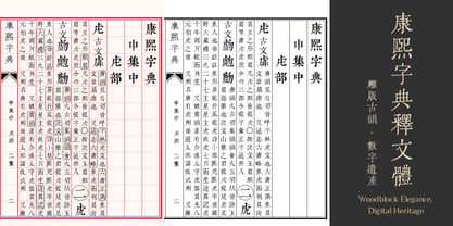 KangXi Dictionary Shiwen Font Poster 4