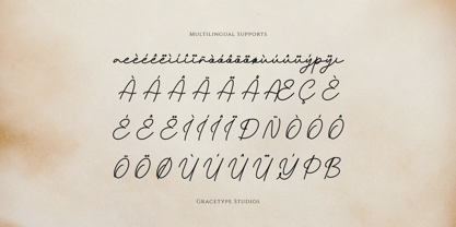 Pafilona Font Poster 11