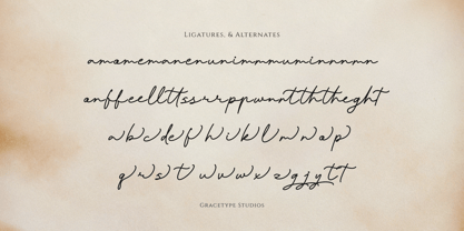 Pafilona Font Poster 12