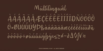 Brusselco Font Poster 7