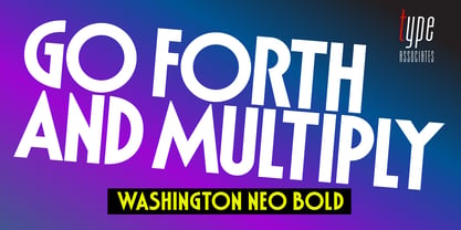 Washington Neo Font Poster 5
