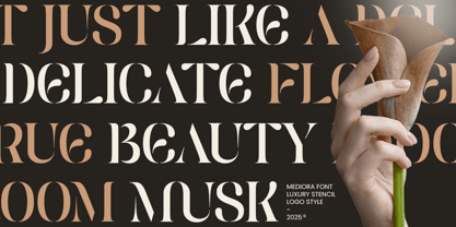 Mediora Font Poster 6