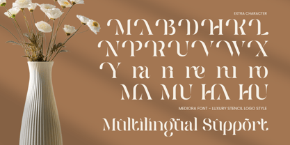 Mediora Font Poster 13