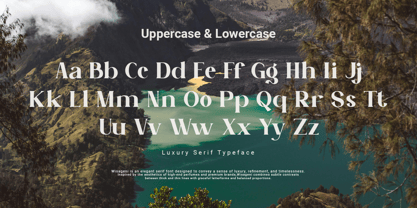 Wisageni Font Poster 2