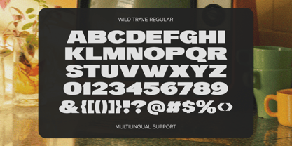 Wild Trave Font Poster 5