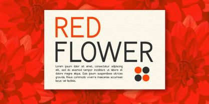 Colossia Font Poster 4