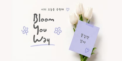 Soju Wye Font Poster 4