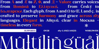 Valore Pro Font Poster 4