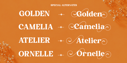 Calteo Font Poster 6