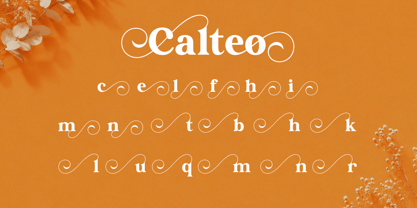 Calteo Font Poster 8