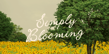 Housemail Font Poster 7