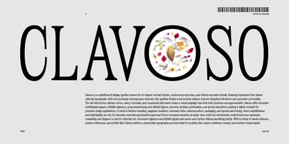 Clavoso Font Poster 2