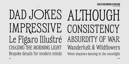 Clavoso Font Poster 8