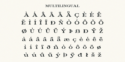 Best Remind Font Poster 8