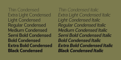 Gastrin Font Poster 8