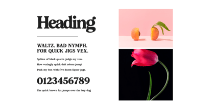 Proten Font Poster 10