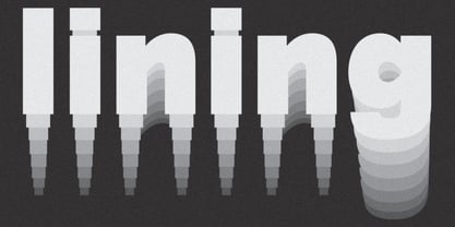 JTGothic Font Poster 3