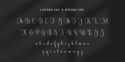 Goldyane Font Poster 8