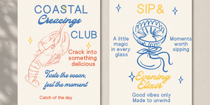Salt fine Collection Font Poster 5