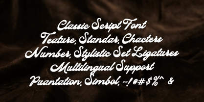 Salt fine Collection Font Poster 8