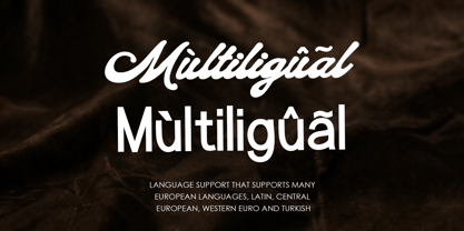 Salt fine Collection Font Poster 9