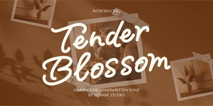 Tender Blossom Font Poster 1
