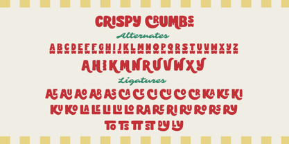 Crispy Crumbs Font Poster 10