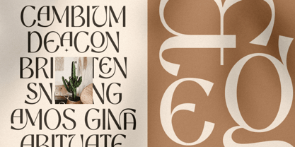 Aremeo Font Poster 12