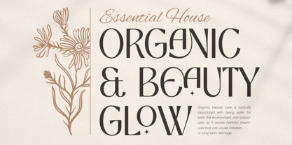 Aremeo Font Poster 6