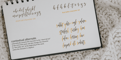 Jettiares Font Poster 10