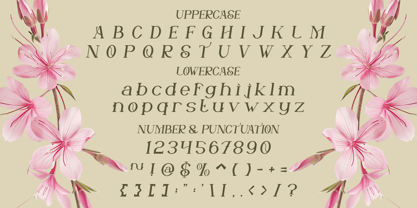 Marise Font Poster 6