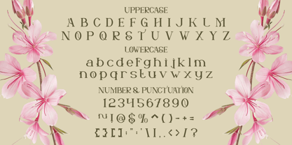 Marise Font Poster 5
