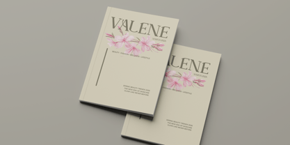 Marise Font Poster 2